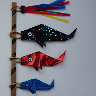 Cinclus1