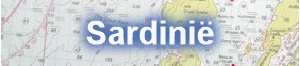 Sardini