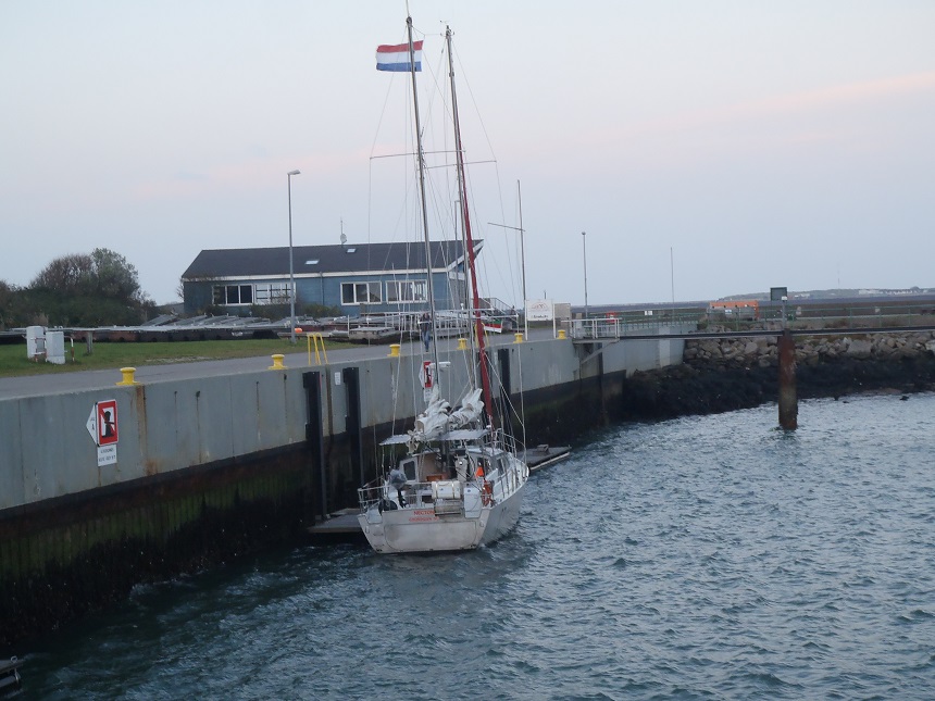 Necton op Helgoland